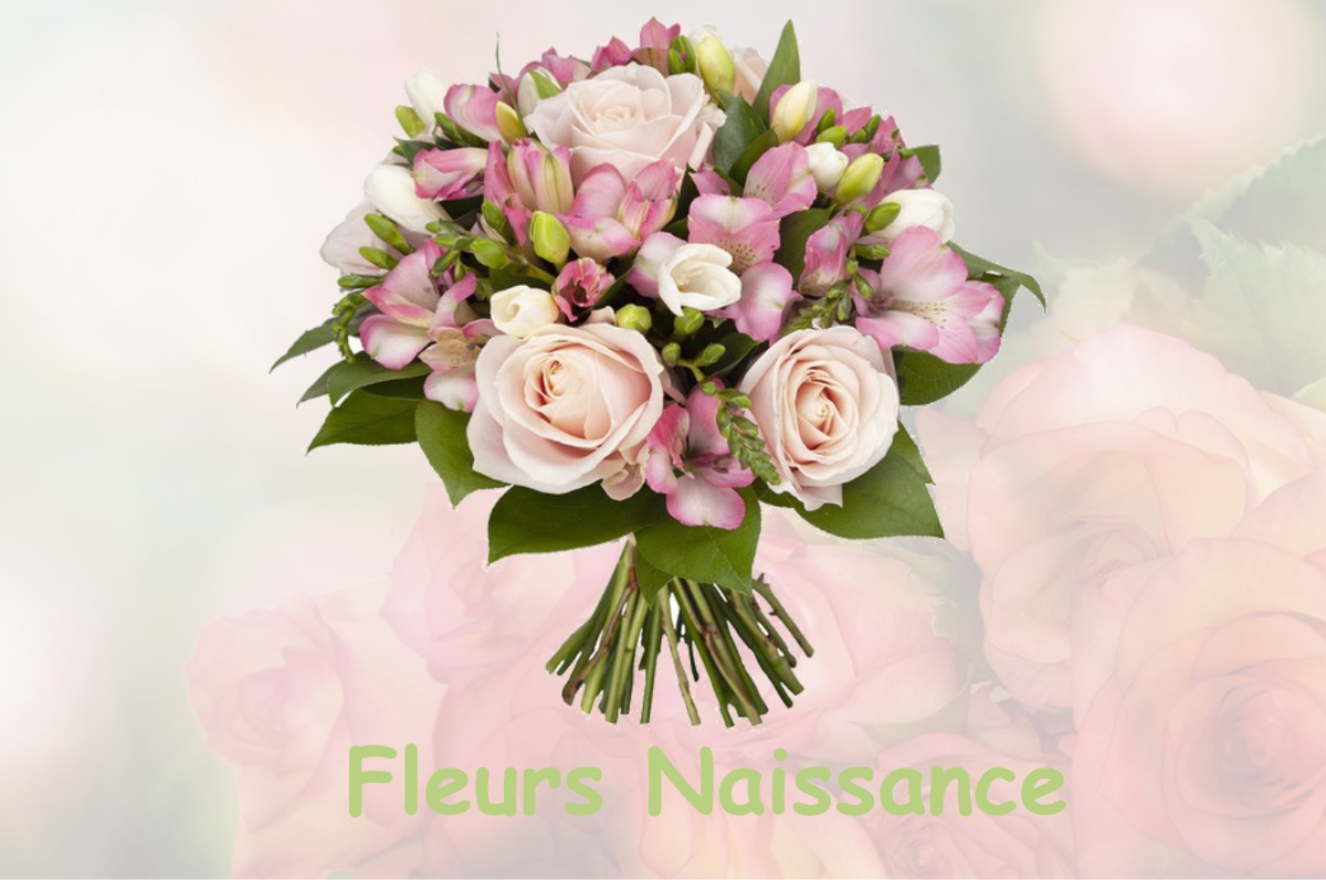 fleurs naissance SALANS