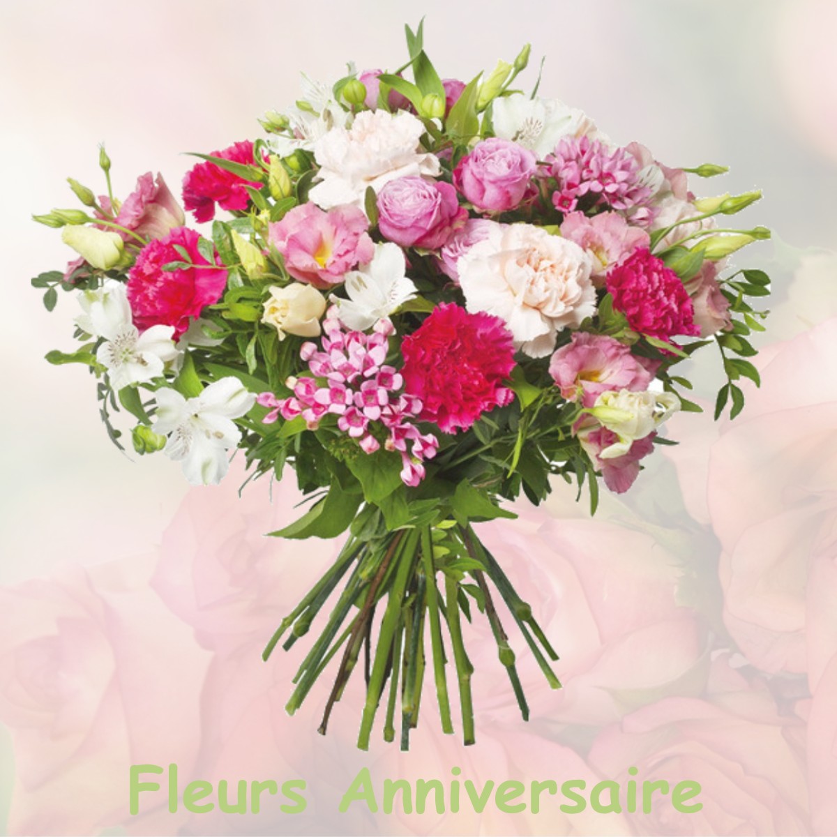 fleurs anniversaire SALANS