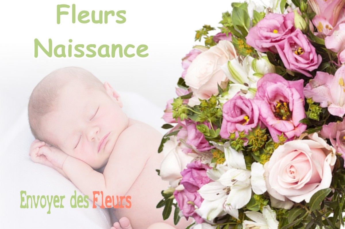 lIVRAISON FLEURS NAISSANCE à SALANS