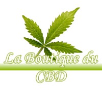 LA BOUTIQUE DU CBD SALANS 